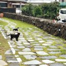 (유)서귀포 남원레카 | [제주 남원읍] 제주 온유제_제주도 펜션 리뷰🌿감성 숙소 찾는다면 여기 꼭 가세요!_제주 감성 숙소 추천...
