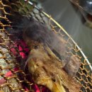 강남 회식장소 추천! 가성비 끝판왕! 고기 품질 미쳤던 소양탐정 방문 후기