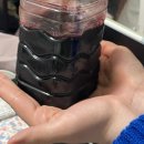 경기도 수원시 영통구 동수원로507번길 이미지