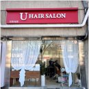 온누리애견미용실 | 사당동 이수역미용실 - 컬이 잘 나오는 유헤어살롱