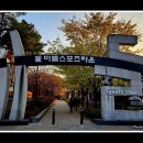 마들체육공원 이미지