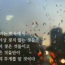 /비내리는 월요아침 모닝커피와 함께 / 이미지