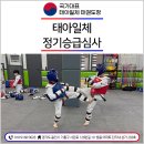 태아일체 태권도장 이미지