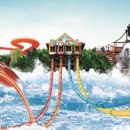 올레파크 이미지