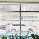 화이트 행정사사무소 이미지