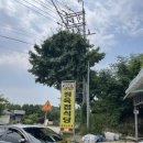 정육점식당우무실한우