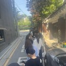 옐로우젬 | 젬앤페블스 아카이브세일 후기 - 뭐 샀을까요?