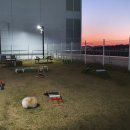 아쿠아펫 카페수족관 이미지