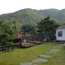 용문산야생화마을 이미지