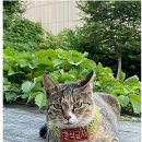 현대아이마트 이미지