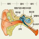 서문한의원 네이버블로그