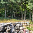 아리힐 | 용인독채펜션 아리힐 풀장 있는 서울근교숙소 추천