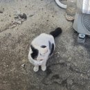 문화체육관광부 버스정류장 | 손목닥터9988 구로보건소 구로체력인증센터 후기 and 작은팁