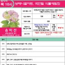 색연필 식물 세밀화 이미지