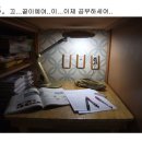마이 루 이미지