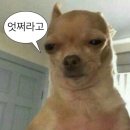 모****** 네이버블로그