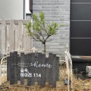 숲속,헤이리114 | 파주 헤이리 예술마을 근처 독채 숙소, 숲속 헤이리114에서 비오는 날 힐링했어요