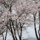 능북초등학교 이미지