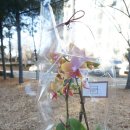 굿모닝연합신경과통증의학과의원 이미지