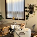 이천동행정복지센터 화장실 | ΙΙ 섭스커피(subs coffee) ΙΙ 대구 이천동 건들바위역 카페