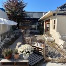 호그니 하우스 이미지