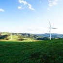 진고개목장 이미지