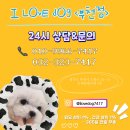 소향로55-15 이미지