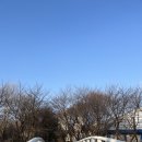 양재시민의숲 공원 테니스장 이미지