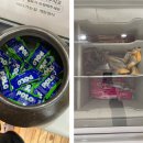 [협찬]거제 학동 맛집! ‘바다가는길’ 게장정식 후기