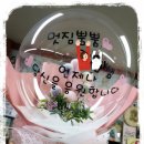 꽃풍선 & 버블 플라워 이미지