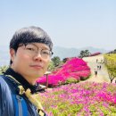 주와와테크 | (35)[부산/북구] 백양산 철쭉산행(선암사-애진봉-철쭉군락지-정상-선암사).원점회귀.초보코스