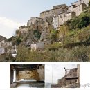 자연에 머물다 이미지