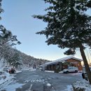 수레의산자연휴양림 이미지