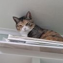 뭘봐PC방 이미지