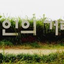 하늘공원(하부) 이미지