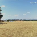 다온숲노을캠핑정원 | 파주 캠핑 다온숲 노을 캠핑정원 카라반으로 힐링