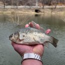 정안 낚시터 이미지