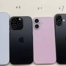 아이폰 16, 한국서 제일 처음 만난다... 애플, 사상 처음 아이폰 ‘1차 출시국’에 한국 포함 이미지