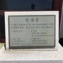 신등대펜션 이미지