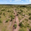 세렝게티 이미지