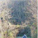 창무산성교회 이미지