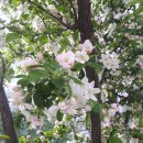 기아오토큐 안성IC점 이미지