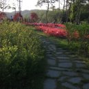 예산(대전방향)휴게소 이미지