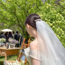 밀드플레 이미지