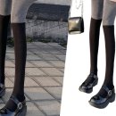주식회사다올 이미지