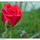 다온한식 - 안산시 단원구 | 다온한식