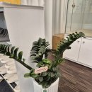 이정훈 강아지 하남본점 이미지