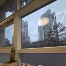 중흥한의원 | 1:1시술 광교미용실 살롱디오레 레이어드컷 후기