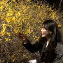 채현