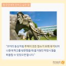 동문전기 이미지